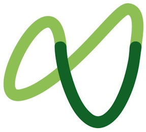 V logo