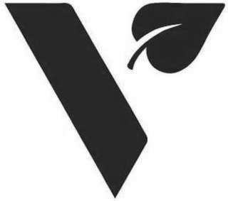 V logo