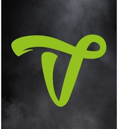 V logo