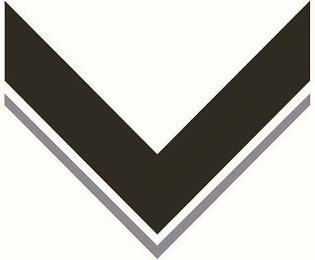 V logo
