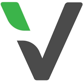 V logo
