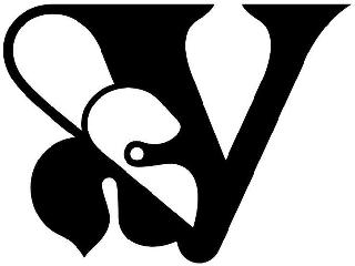 V logo