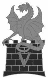 V logo