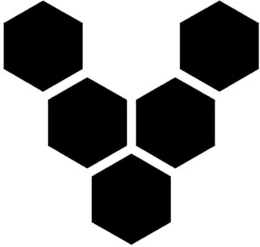 V logo