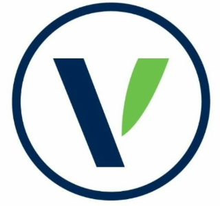 V logo