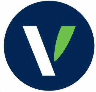V logo