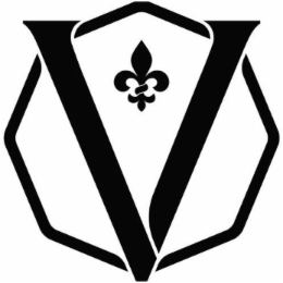 V logo