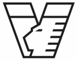 V logo