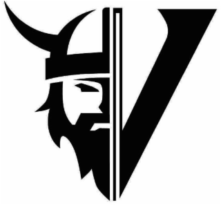 V logo