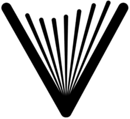 V logo