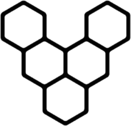 V logo