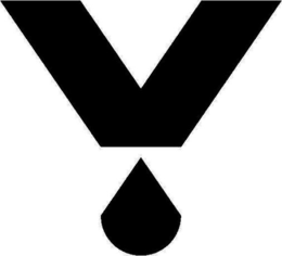 V logo