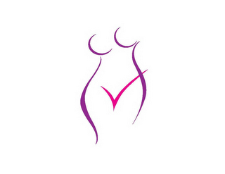 V logo