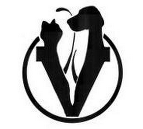 V