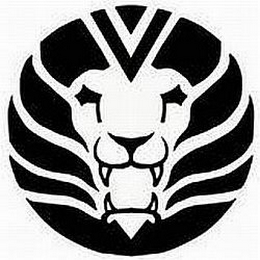 V logo