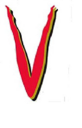 V logo