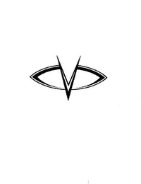 V logo