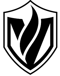 V logo
