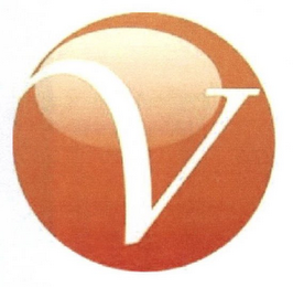 V logo