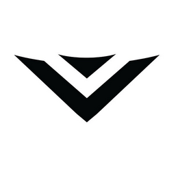V logo