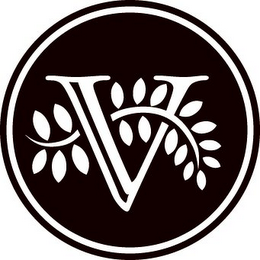 V logo