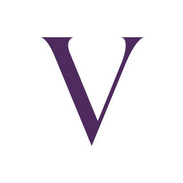 V logo