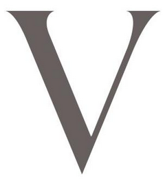V logo