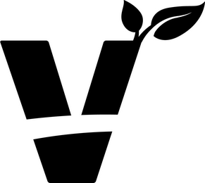 V logo