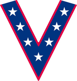 V logo