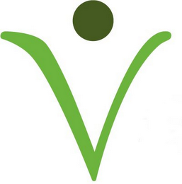 V logo