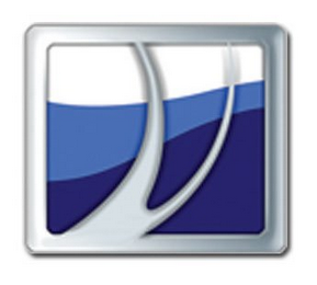V logo