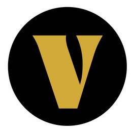 V logo
