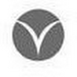 V logo