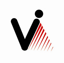 V logo