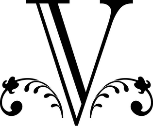 V logo