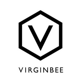 V logo