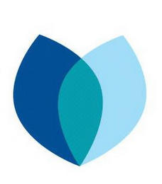 V logo