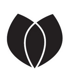 V logo