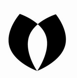 V logo