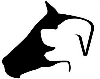 V logo