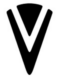 V logo