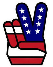 V logo