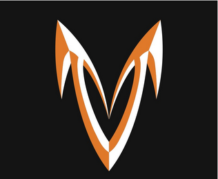 V logo