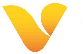 V logo