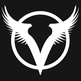 V logo
