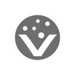 V logo