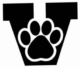 V logo