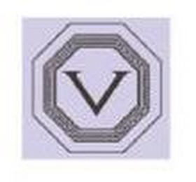 V logo