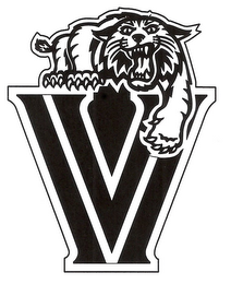 V logo