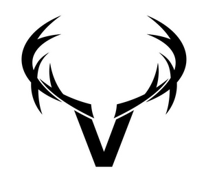 V logo